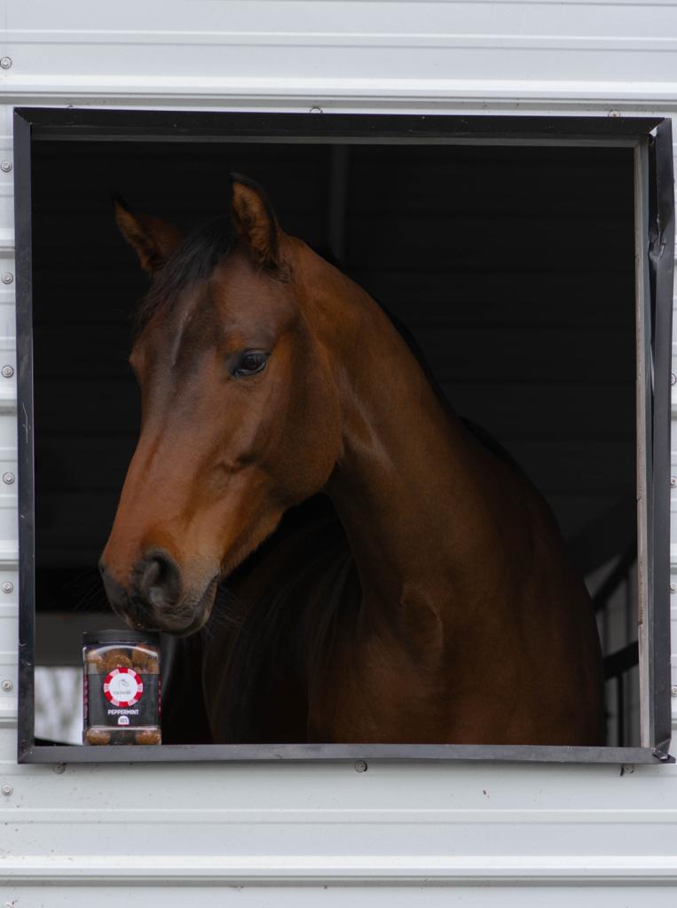 Equinolik